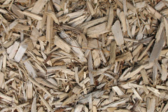 biomass boilers Mambeg
